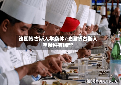 法国博古斯入学条件/法国博古斯入学条件有哪些