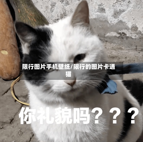 限行图片手机壁纸/限行的图片卡通猫
