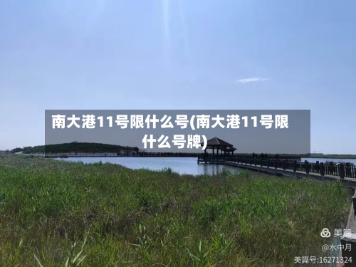 南大港11号限什么号(南大港11号限什么号牌)
