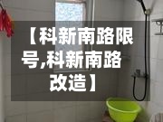 【科新南路限号,科新南路改造】-第3张图片