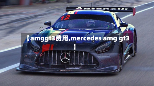 【amggt3费用,mercedes amg gt3】