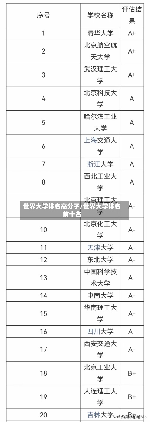 世界大学排名高分子/世界大学排名前十名