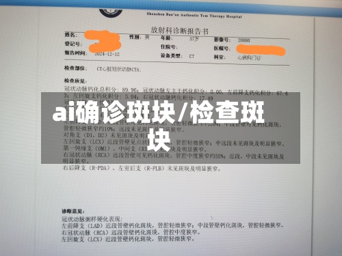 ai确诊斑块/检查斑块-第3张图片