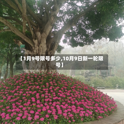 【1月9号限号多少,10月9日新一轮限号】