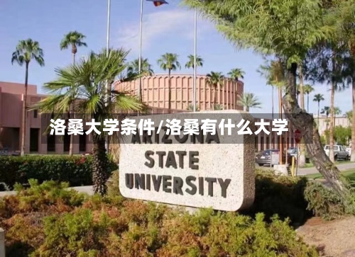 洛桑大学条件/洛桑有什么大学