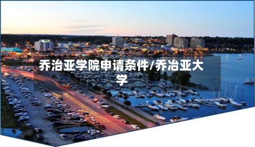 乔治亚学院申请条件/乔冶亚大学-第2张图片