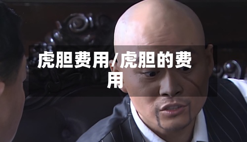 虎胆费用/虎胆的费用
