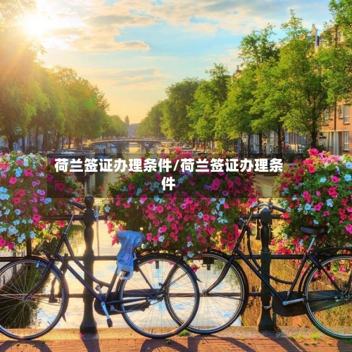 荷兰签证办理条件/荷兰签证办理条件