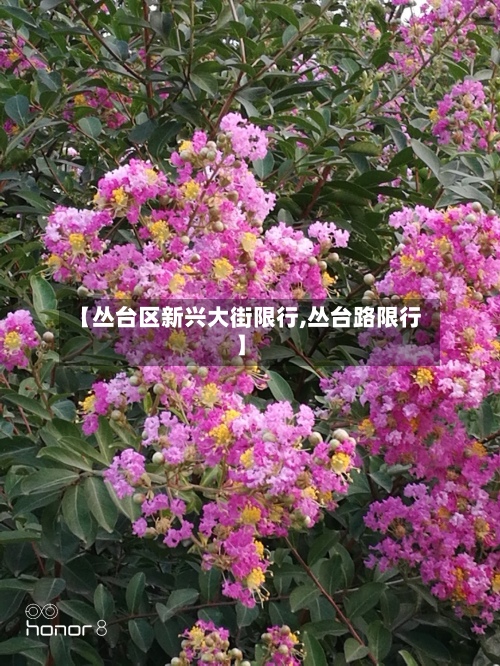 【丛台区新兴大街限行,丛台路限行】