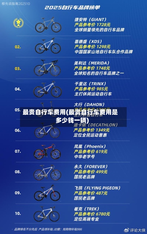 最贵自行车费用(最贵自行车费用是多少钱一辆)-第2张图片