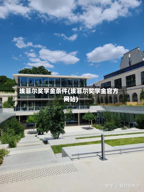 埃菲尔奖学金条件(埃菲尔奖学金官方网站)-第3张图片