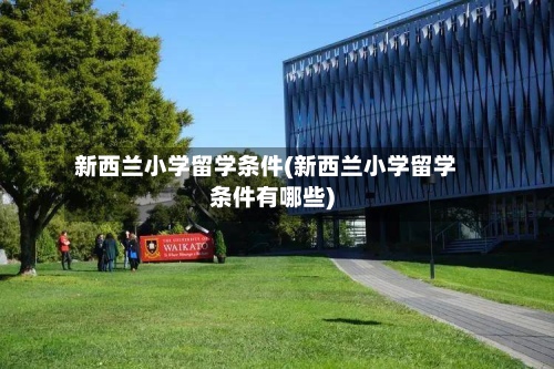 新西兰小学留学条件(新西兰小学留学条件有哪些)