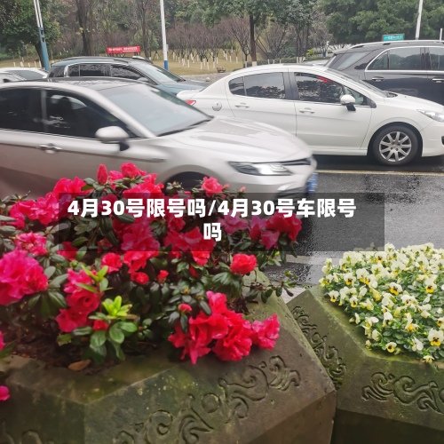 4月30号限号吗/4月30号车限号吗-第2张图片