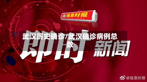 武汉历史确诊/武汉确诊病例总数-第2张图片