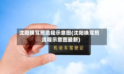沈阳换驾照流程示意图(沈阳换驾照流程示意图最新)