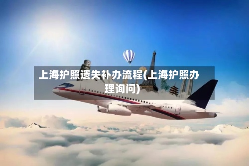 上海护照遗失补办流程(上海护照办理询问)