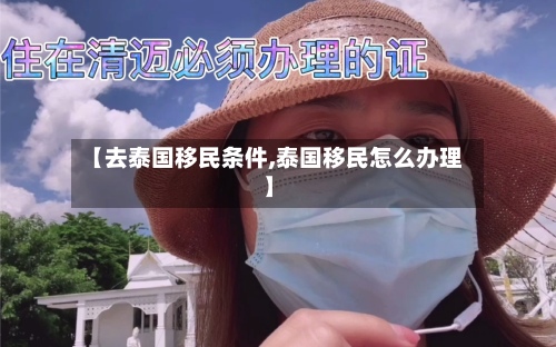【去泰国移民条件,泰国移民怎么办理】-第3张图片