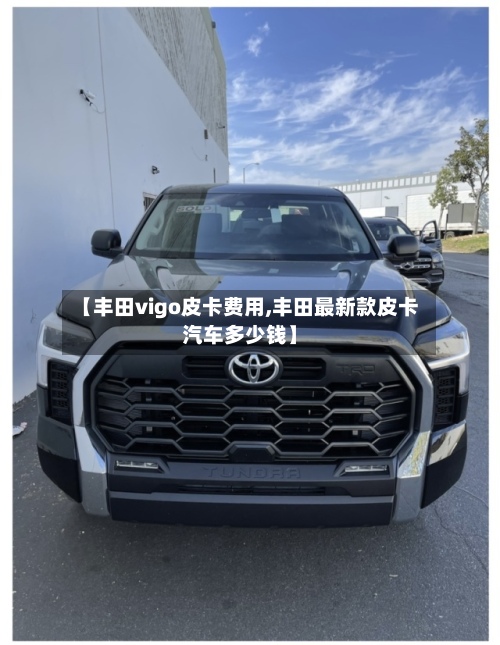 【丰田vigo皮卡费用,丰田最新款皮卡汽车多少钱】-第2张图片