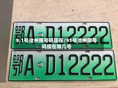 9.1号沧州限号吗现在/91号沧州限号吗现在限几号