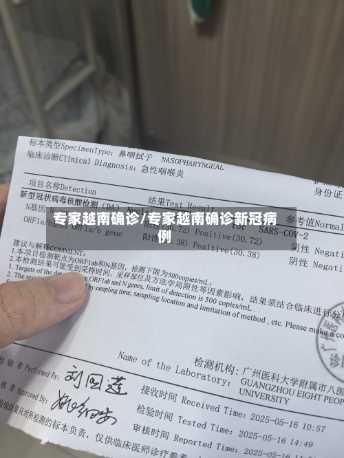 专家越南确诊/专家越南确诊新冠病例-第2张图片