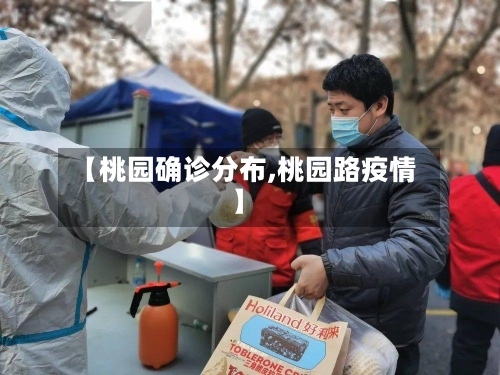 【桃园确诊分布,桃园路疫情】-第3张图片