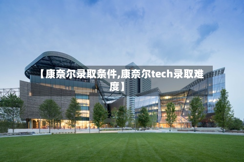 【康奈尔录取条件,康奈尔tech录取难度】-第2张图片