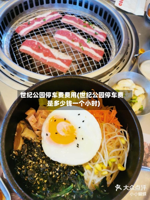 世纪公园停车费费用(世纪公园停车费是多少钱一个小时)