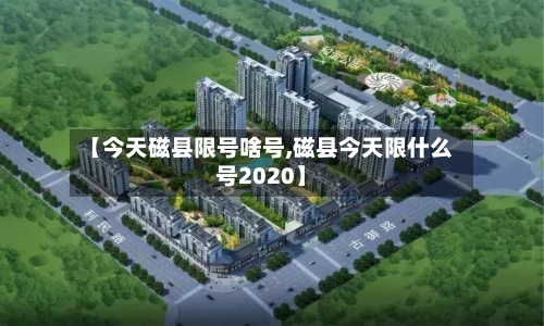 【今天磁县限号啥号,磁县今天限什么号2020】-第3张图片
