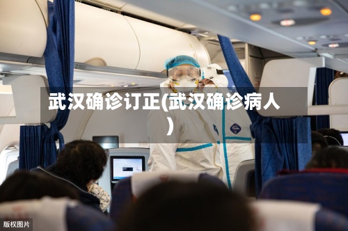 武汉确诊订正(武汉确诊病人)