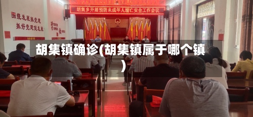 胡集镇确诊(胡集镇属于哪个镇)