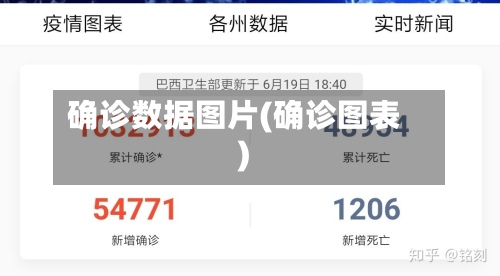 确诊数据图片(确诊图表)