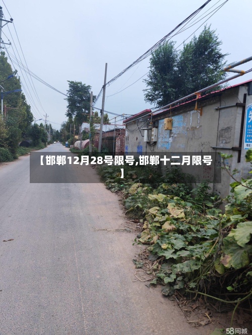 【邯郸12月28号限号,邯郸十二月限号】