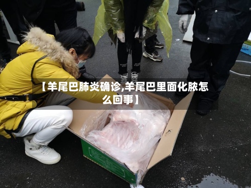 【羊尾巴肺炎确诊,羊尾巴里面化脓怎么回事】