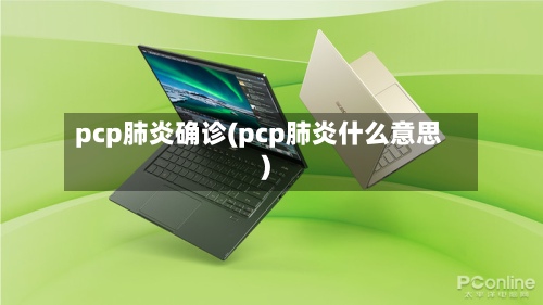 pcp肺炎确诊(pcp肺炎什么意思)-第3张图片