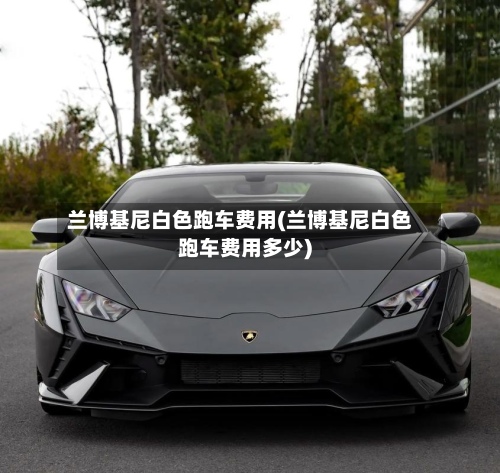 兰博基尼白色跑车费用(兰博基尼白色跑车费用多少)