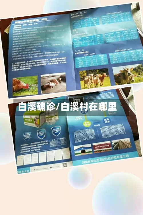 白溪确诊/白溪村在哪里