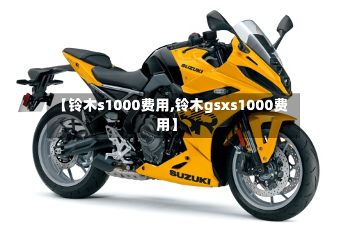 【铃木s1000费用,铃木gsxs1000费用】-第2张图片