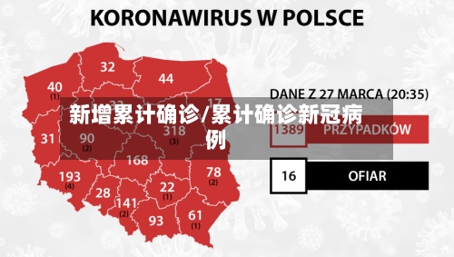 新增累计确诊/累计确诊新冠病例