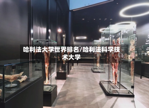 哈利法大学世界排名/哈利法科学技术大学