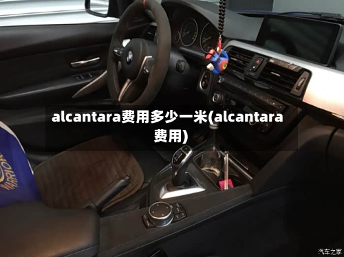 alcantara费用多少一米(alcantara 费用)-第2张图片