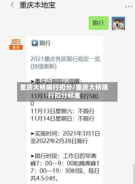 重庆大桥限行扣分/重庆大桥限行扣分标准-第2张图片