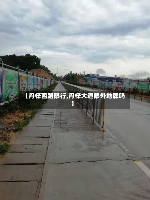 【丹梓西路限行,丹梓大道限外地牌吗】-第2张图片