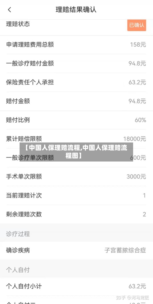 【中国人保理赔流程,中国人保理赔流程图】-第3张图片