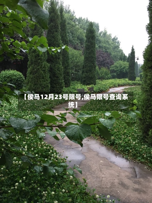 【侯马12月23号限号,侯马限号查询系统】-第2张图片