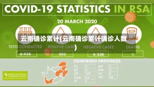 云南确诊累计(云南确诊累计确诊人数)-第3张图片