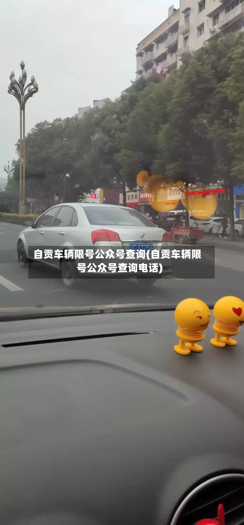 自贡车辆限号公众号查询(自贡车辆限号公众号查询电话)-第2张图片