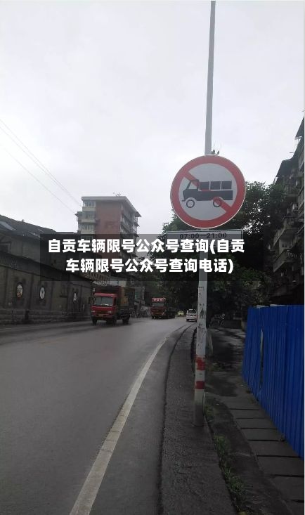 自贡车辆限号公众号查询(自贡车辆限号公众号查询电话)-第3张图片