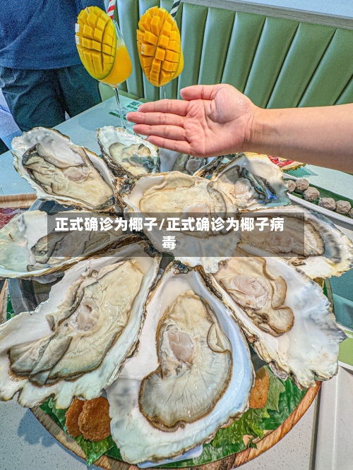 正式确诊为椰子/正式确诊为椰子病毒-第2张图片