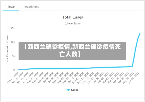 【新西兰确诊疫情,新西兰确诊疫情死亡人数】-第2张图片