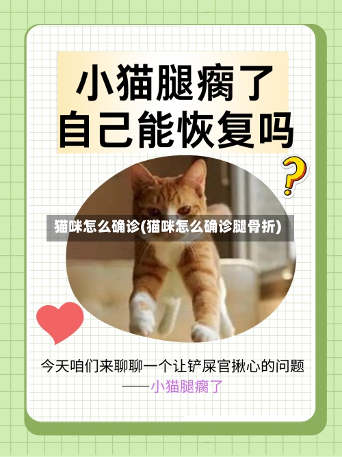 猫咪怎么确诊(猫咪怎么确诊腿骨折)